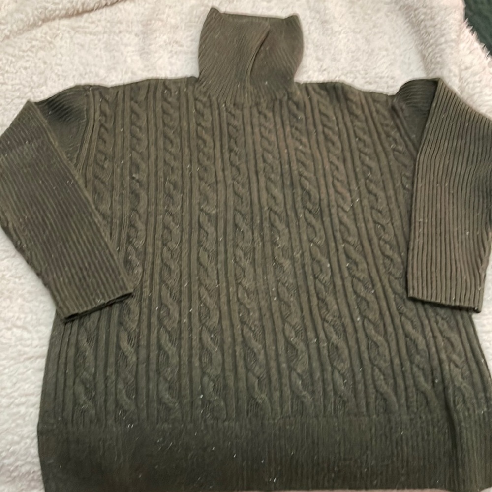 Talbots green turtleneck sweater